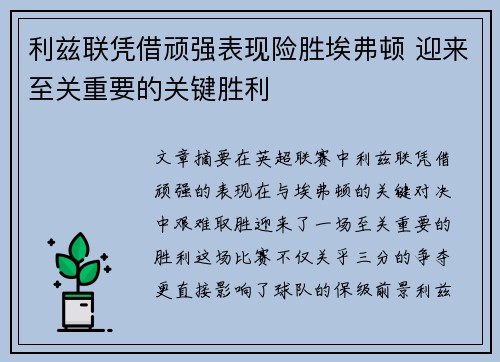 利兹联凭借顽强表现险胜埃弗顿 迎来至关重要的关键胜利