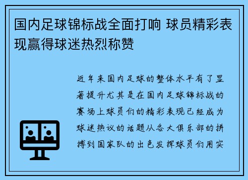 国内足球锦标战全面打响 球员精彩表现赢得球迷热烈称赞