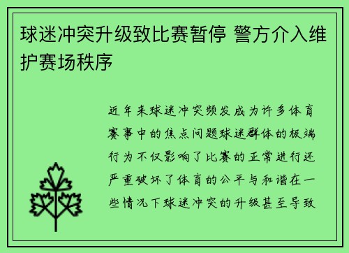 球迷冲突升级致比赛暂停 警方介入维护赛场秩序